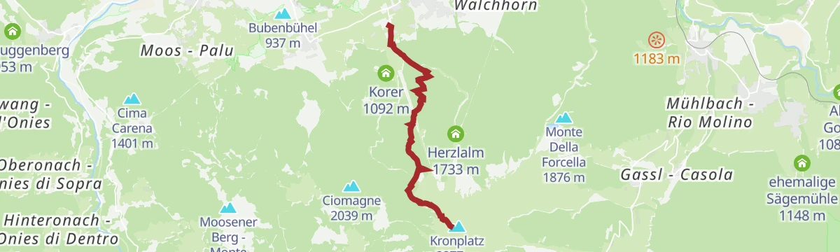 Route map: Alpine tour from Reischach/Riscone to the Kronplatz/Plan de Corones summit